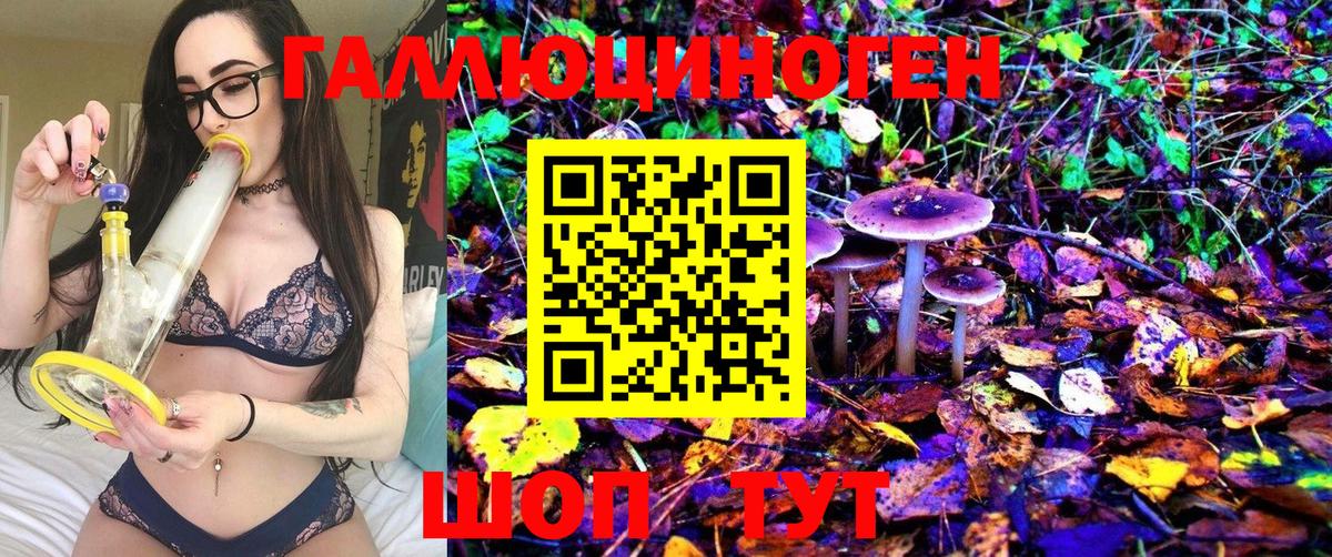 Галлюциногенные грибы прущие грибы Краснокаменск